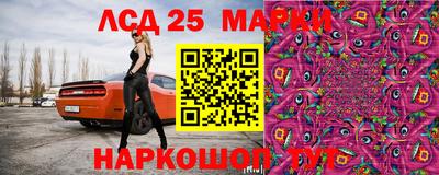 гидропоника Будённовск